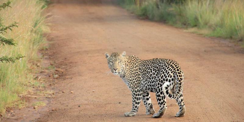 数据中心20：IDCHU如何重塑云计算与服务器托管的未来