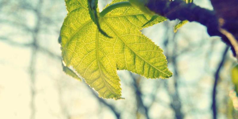 数据中心29：云计算时代的核心枢纽与IDCHU服务新范式