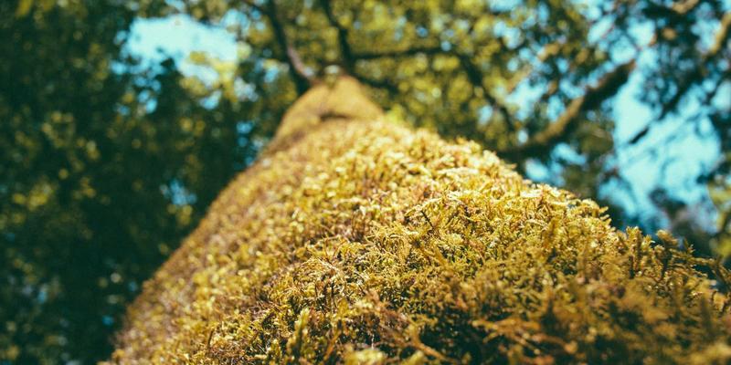 数据中心82：IDCHU如何重塑数据安全与高效运营新标杆