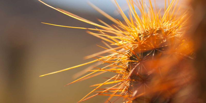 数据中心88：以IDCHU为核心构建下一代数字基础设施与数据安全堡垒