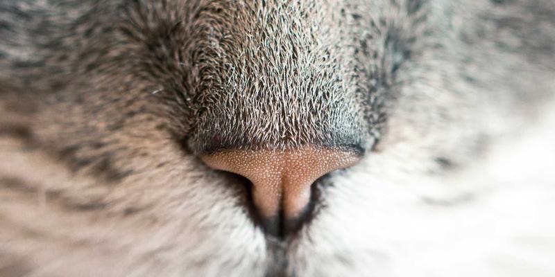 数据中心基础设施管理（DCIM）软件：智能运维与能效优化的核心引擎