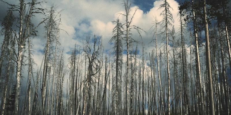 数据中心选址的五大关键要素：电力、网络与风险的深度解析