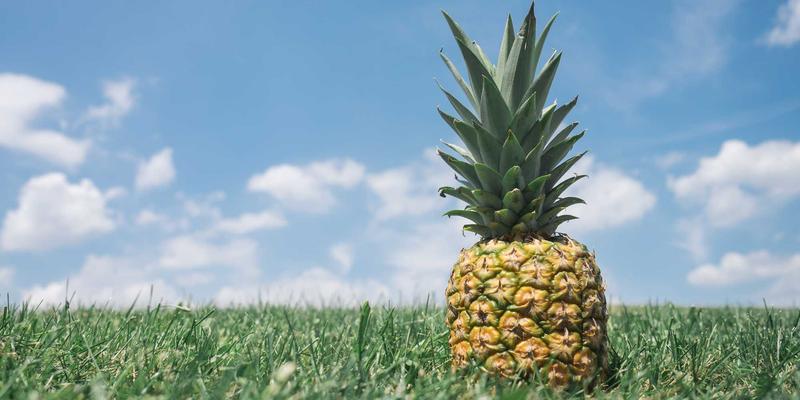 服务器托管与数据中心选址：揭秘地理、能源与政策三大关键因素