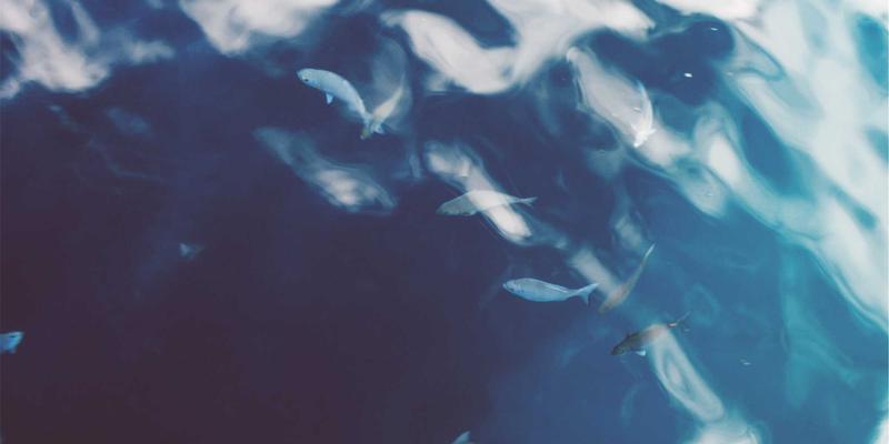 模块化数据中心设计：如何实现快速部署与弹性扩展，保障服务器托管与数据安全