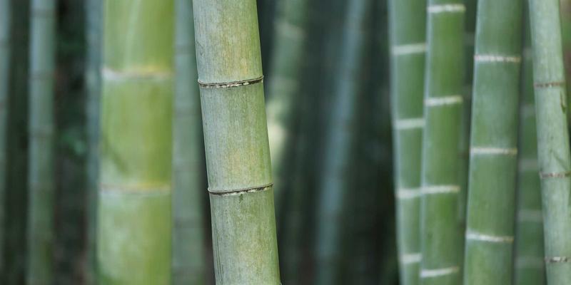 筑牢数字基石：数据中心物理安全从生物识别到入侵检测的全方位防护策略