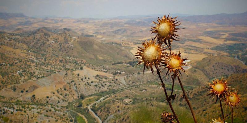 超融合基础设施（HCI）如何驱动数据中心现代化转型：解锁云服务与云计算新潜能